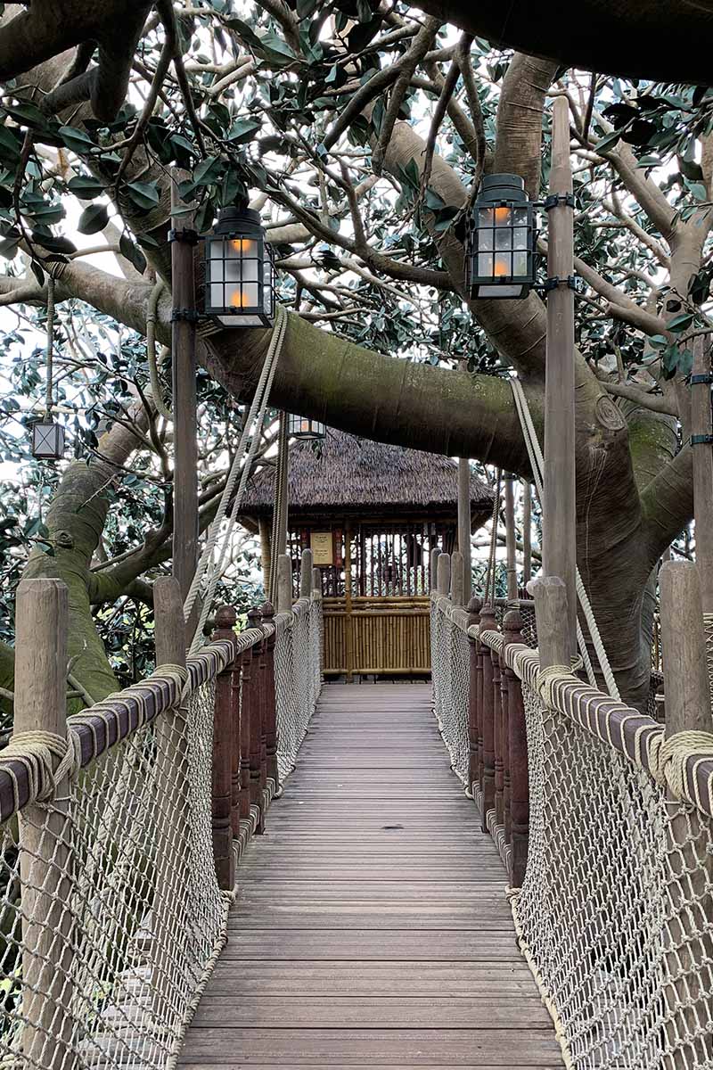 La cabane des Robinson Disneyland Paris