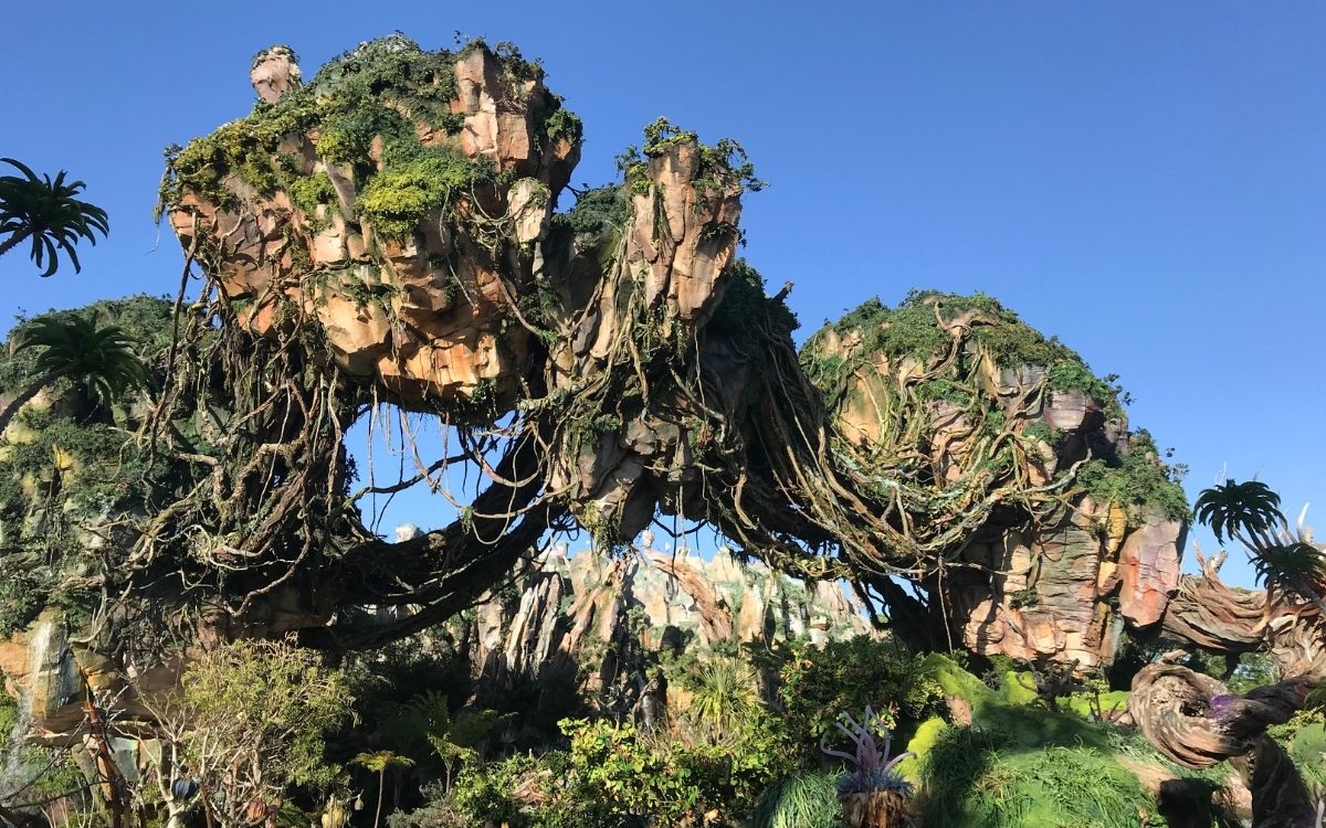 Pandora Walt Disney World